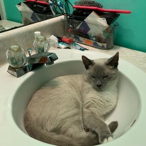 Meet your Posher, James